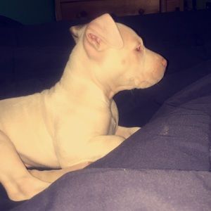 Meet your Posher, Hanna